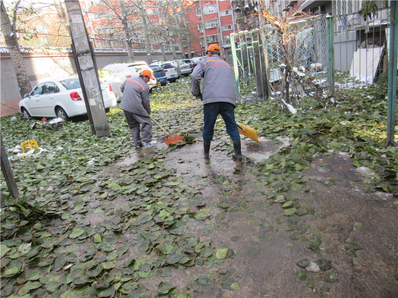 街巷保洁